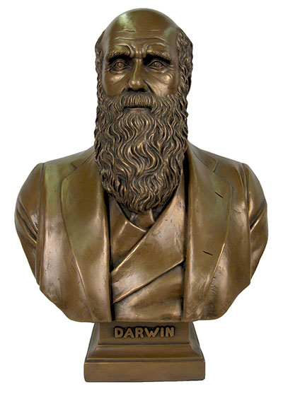 Resin Charles Darwin Bust Bronze Finish - Click Image to Close
